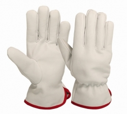 Driving Gloves (Unlined )